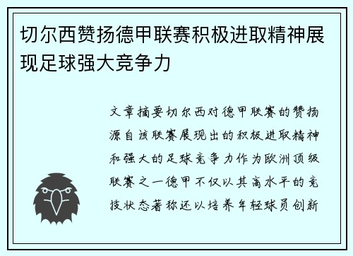 切尔西赞扬德甲联赛积极进取精神展现足球强大竞争力